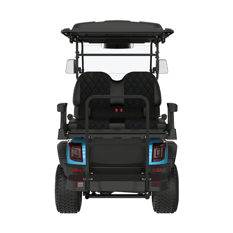 Street Legal Electric Lsv Golf Cart 2025 Year Model 4+2 Seats Color Choices