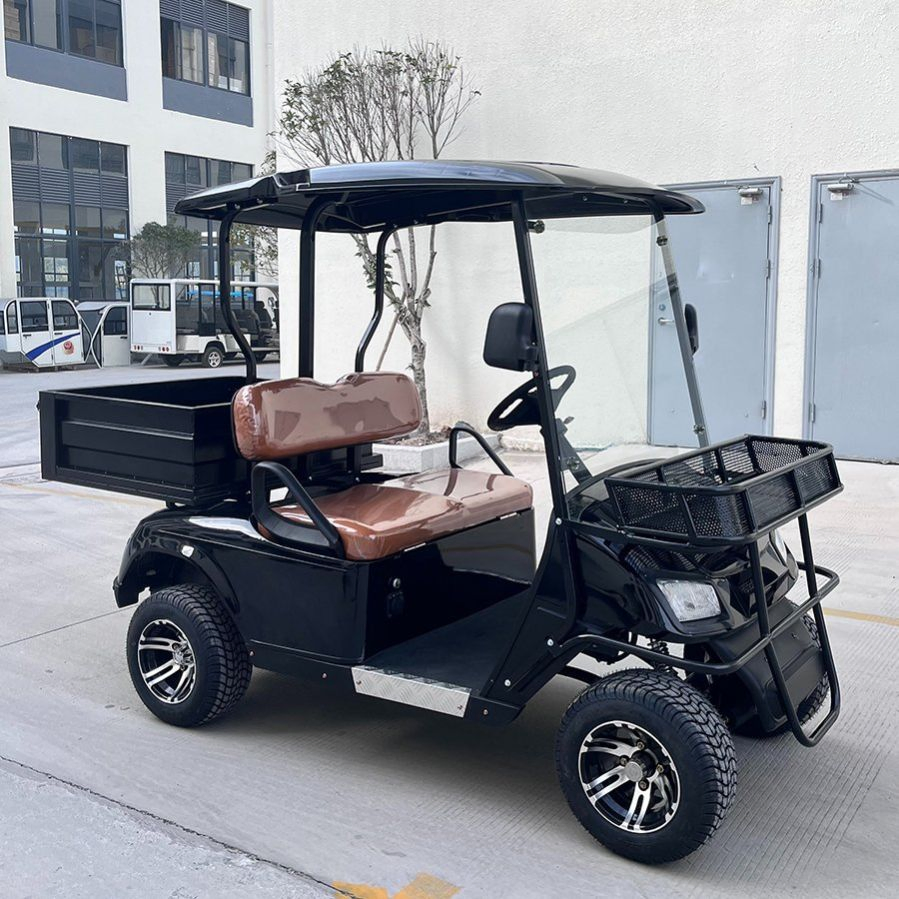 Electric Golf Carts Cheap Farm Utility Lead-Acid 2 Seater Cargo Golf Cart Mini Electric Utilitygolf Carts