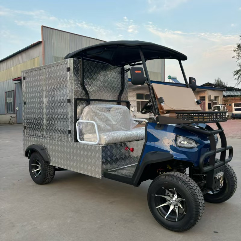 Farm Utility 4/5/7kw Lithium Solar Panel Buggy Sightseeing Vehicle Electric Golf Carts