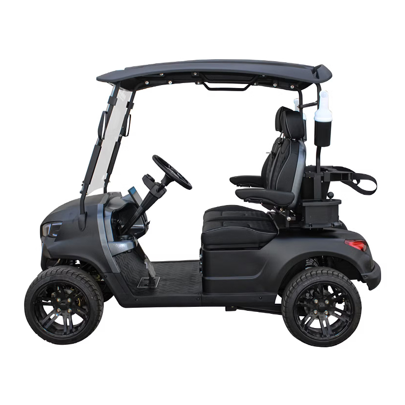 Customize High-Speed 25 Km/H Electric Golf Cart for Cart Distribution