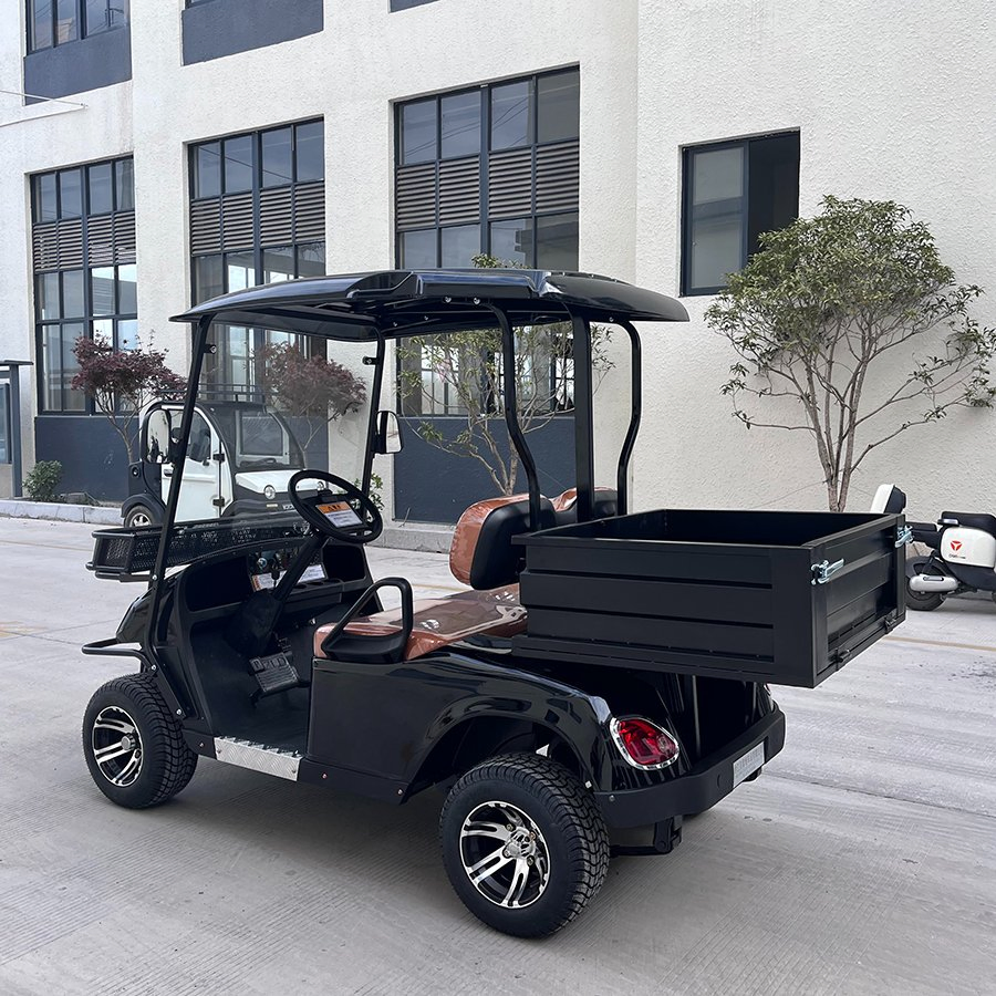 Electric Golf Carts Cheap Farm Utility Lead-Acid 2 Seater Cargo Golf Cart Mini Electric Utilitygolf Carts