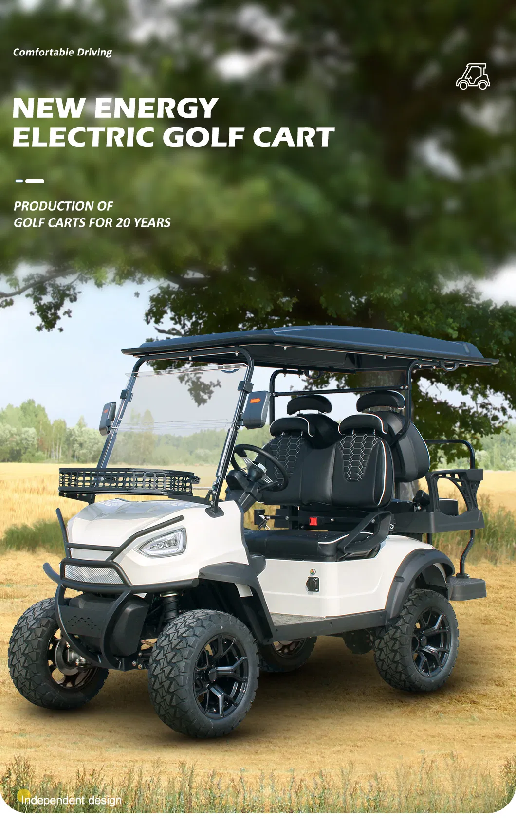 Electric Golf Cart View 1