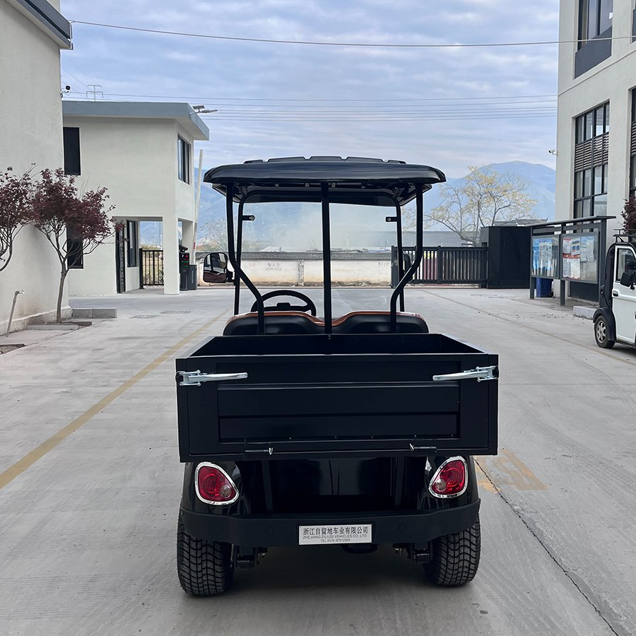 Electric Golf Carts Cheap Farm Utility Lead-Acid 2 Seater Cargo Golf Cart Mini Electric Utilitygolf Carts