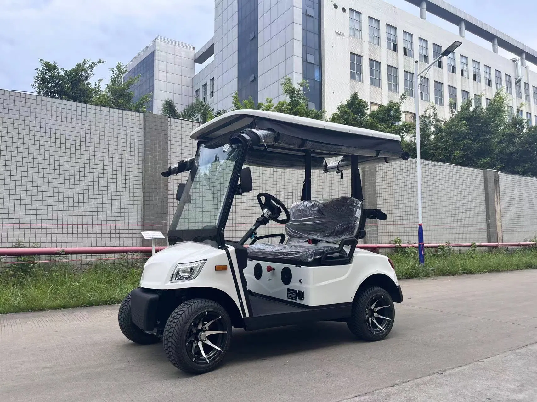 Marshell Premium Electric Golf Trolley Cart with CE Approval Golf Car Golf Buggy Utility Vehicle