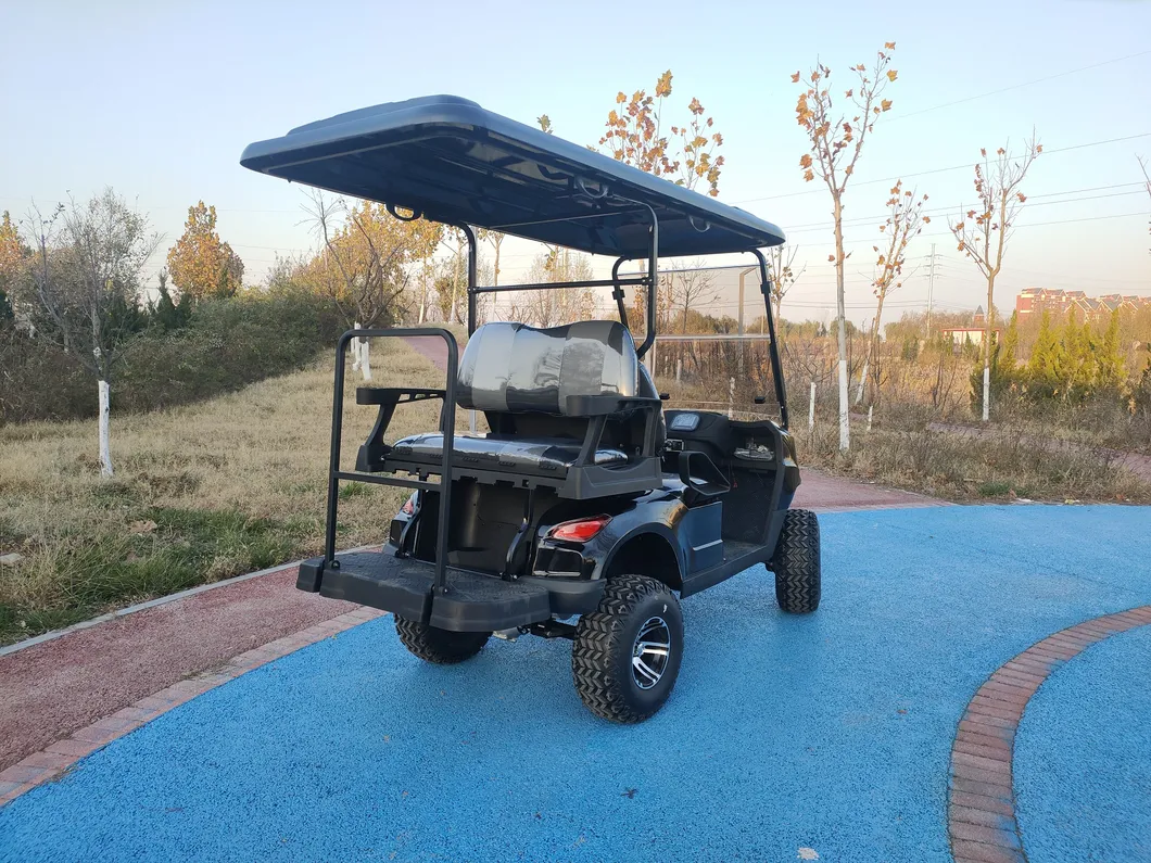 Electric Golf Cart View 6