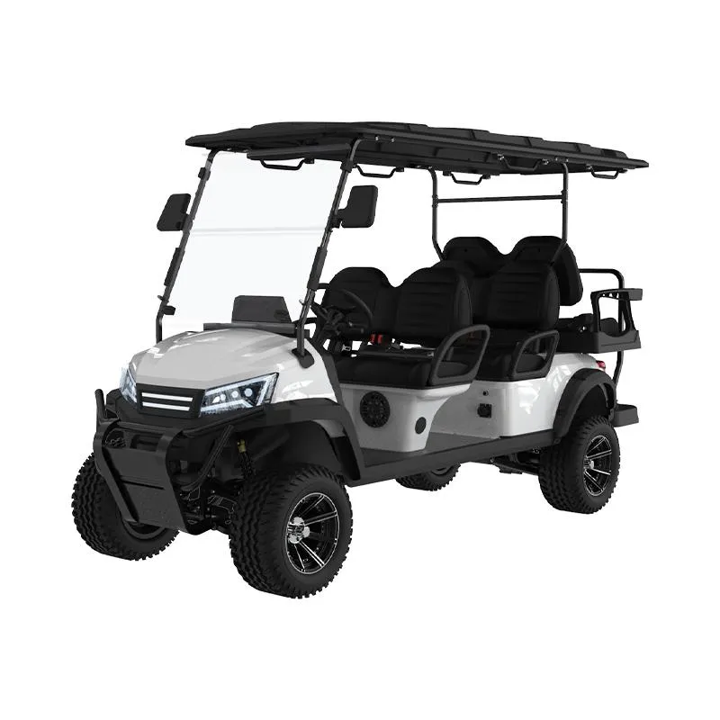Electric Golf Buggy View 3