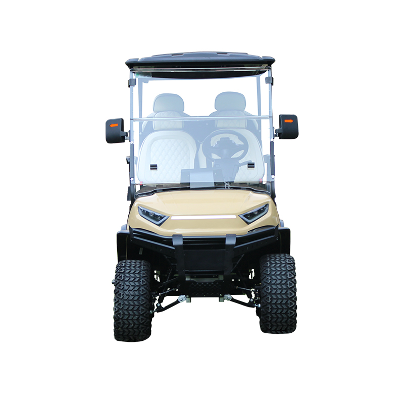 2 4 Seater Electric Golf Carts Cheap Prices Buggy Car for Sale Chinese Club Prezzi Four Enclosed Power Golf Cart