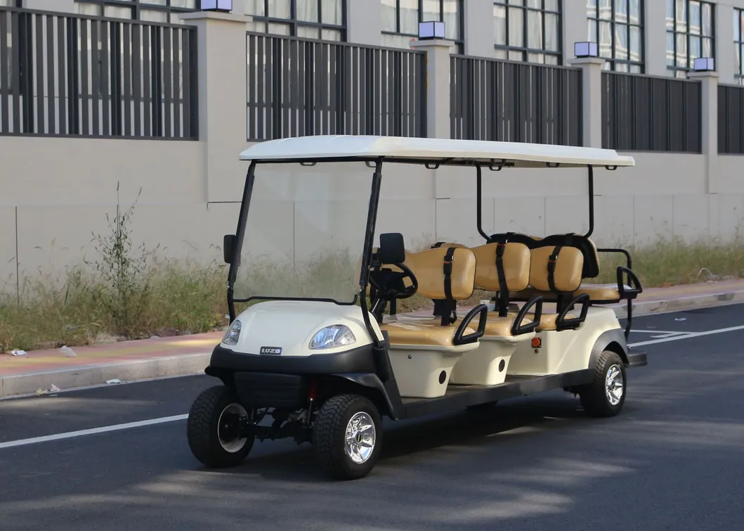 Electric Vehicle Features