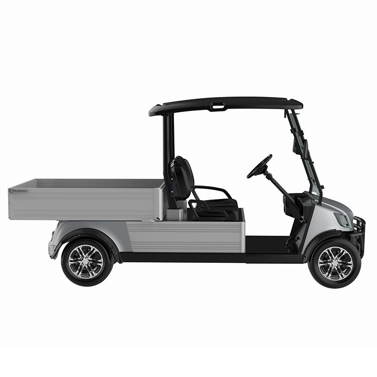 Marshell 2 Seater 48V Cheap Utility Cart Golf Cart with Cargo Box for Hunting Club Farm Village (DU-CA500)