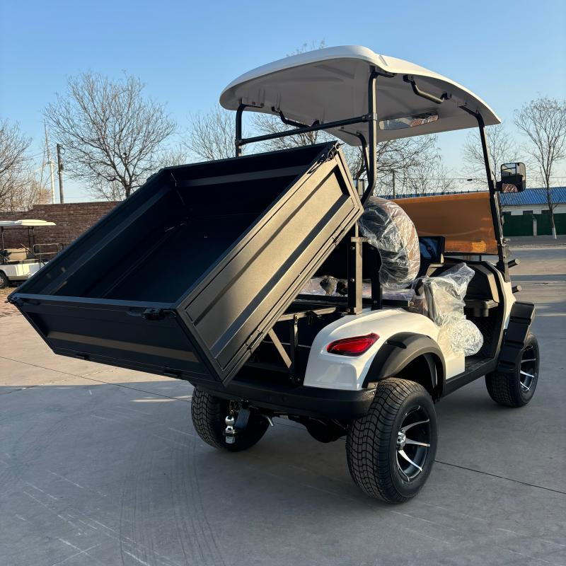 MMC Wholesale Utility Vehicle 4 Wheel Golf Cart Lithium Battery Golf Car off Road Electric Farm Golf Cart with Rear Cargo Box