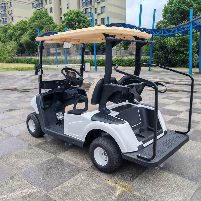 Compact Two-Seat Golf Cart with Bulk Order Savings for Fleet Operators