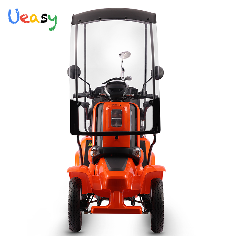 60V 800W/1600W Custom Golf Buggy 2 Seater Electric Golf Cart for Senior in USA for Sale