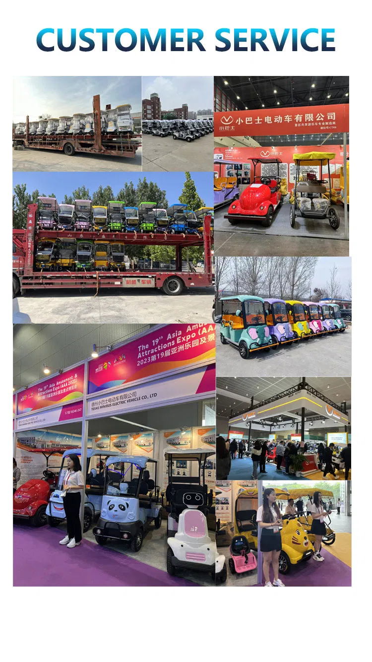 Luxury Electric Golf Cart