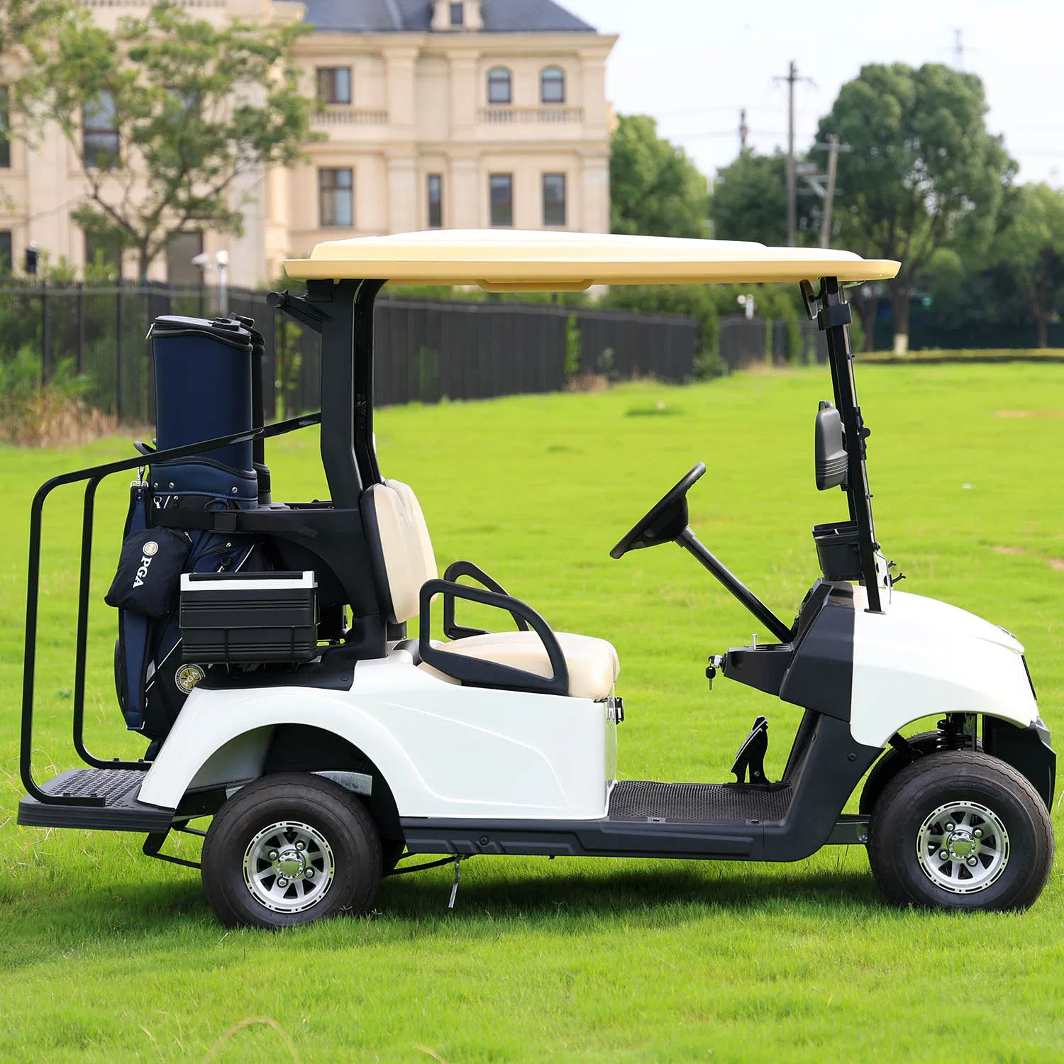 Compact Hioev 2-Seat Fleet Golf Cart for Easy Maneuvering
