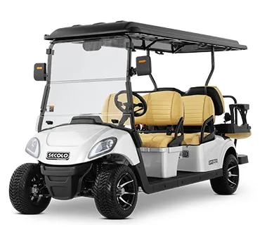 Electric Sightseeing Vehicle