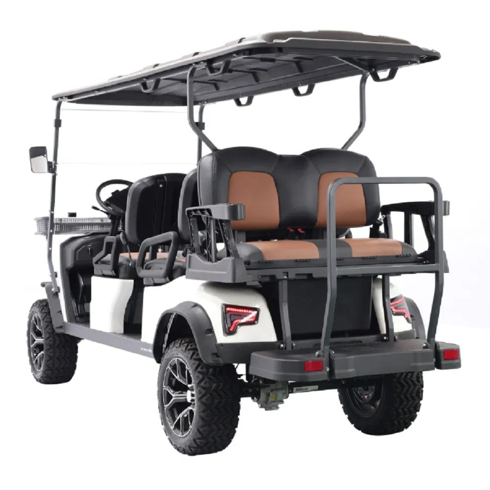 Electric Golf Cart Rear View