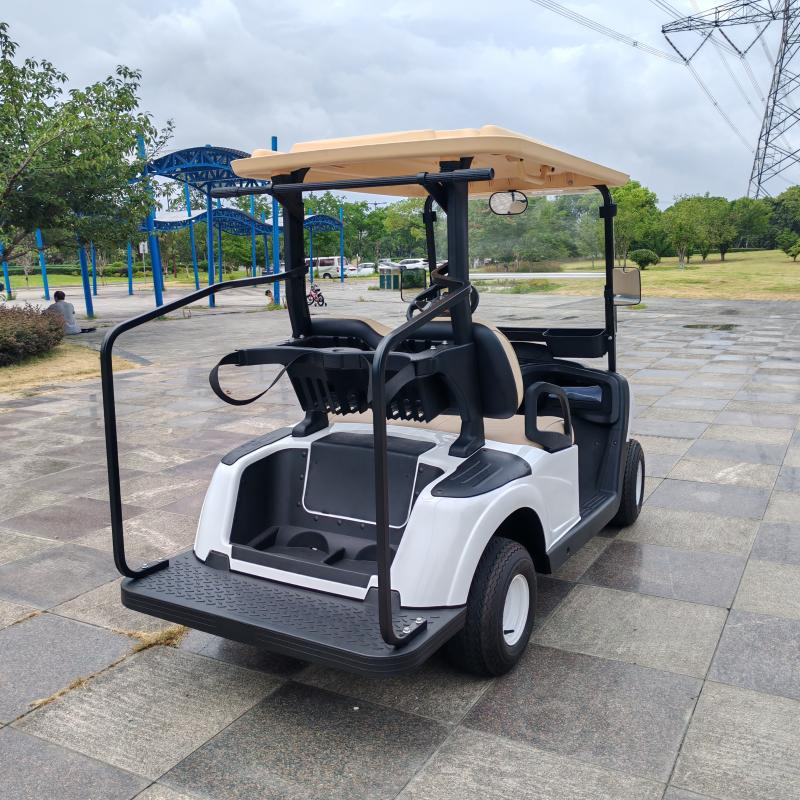Engine Electric Golf Cart with 2 Seater Capacity Lithium Battery Golf Course Mobile Vehicle