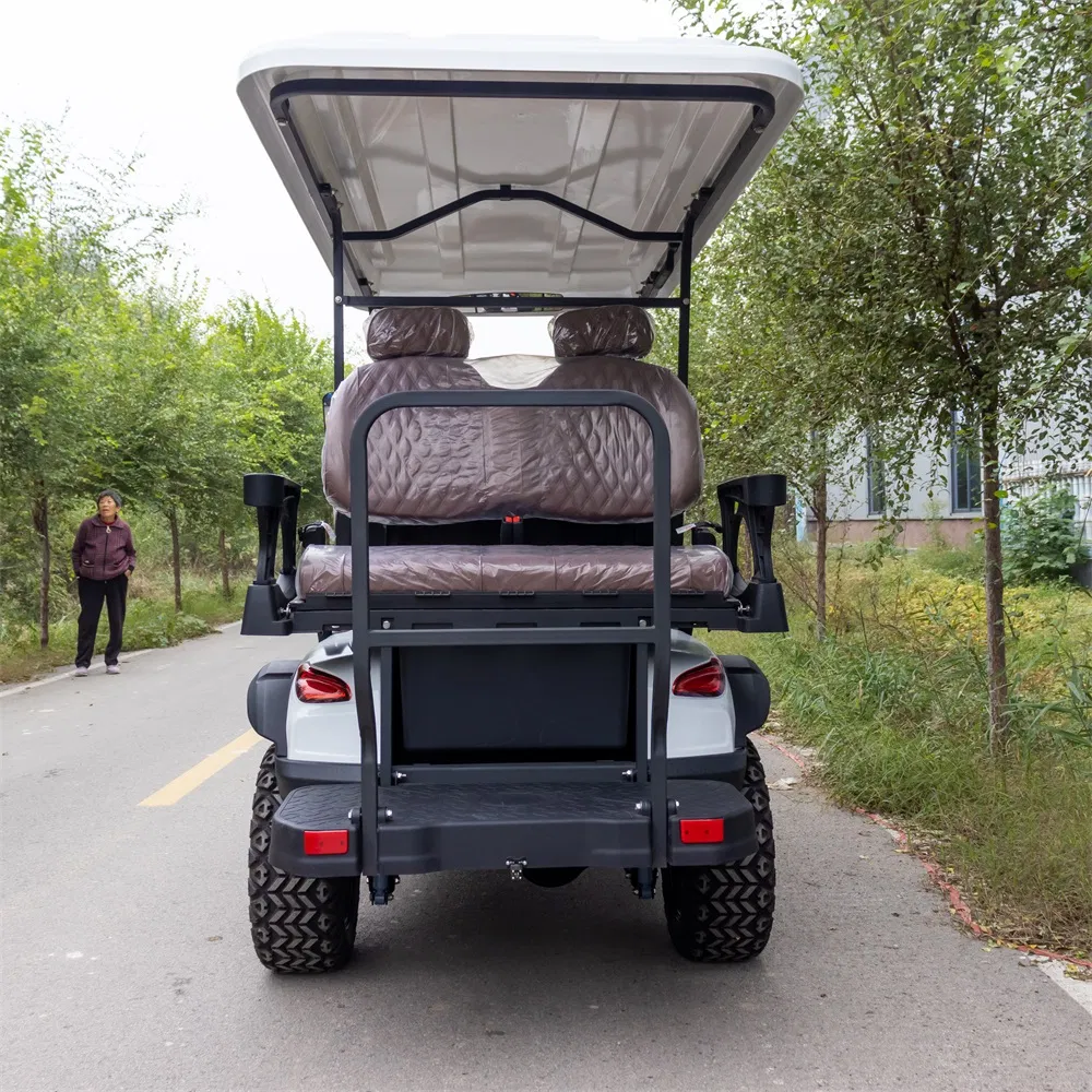 Electric Golf Cart View 6