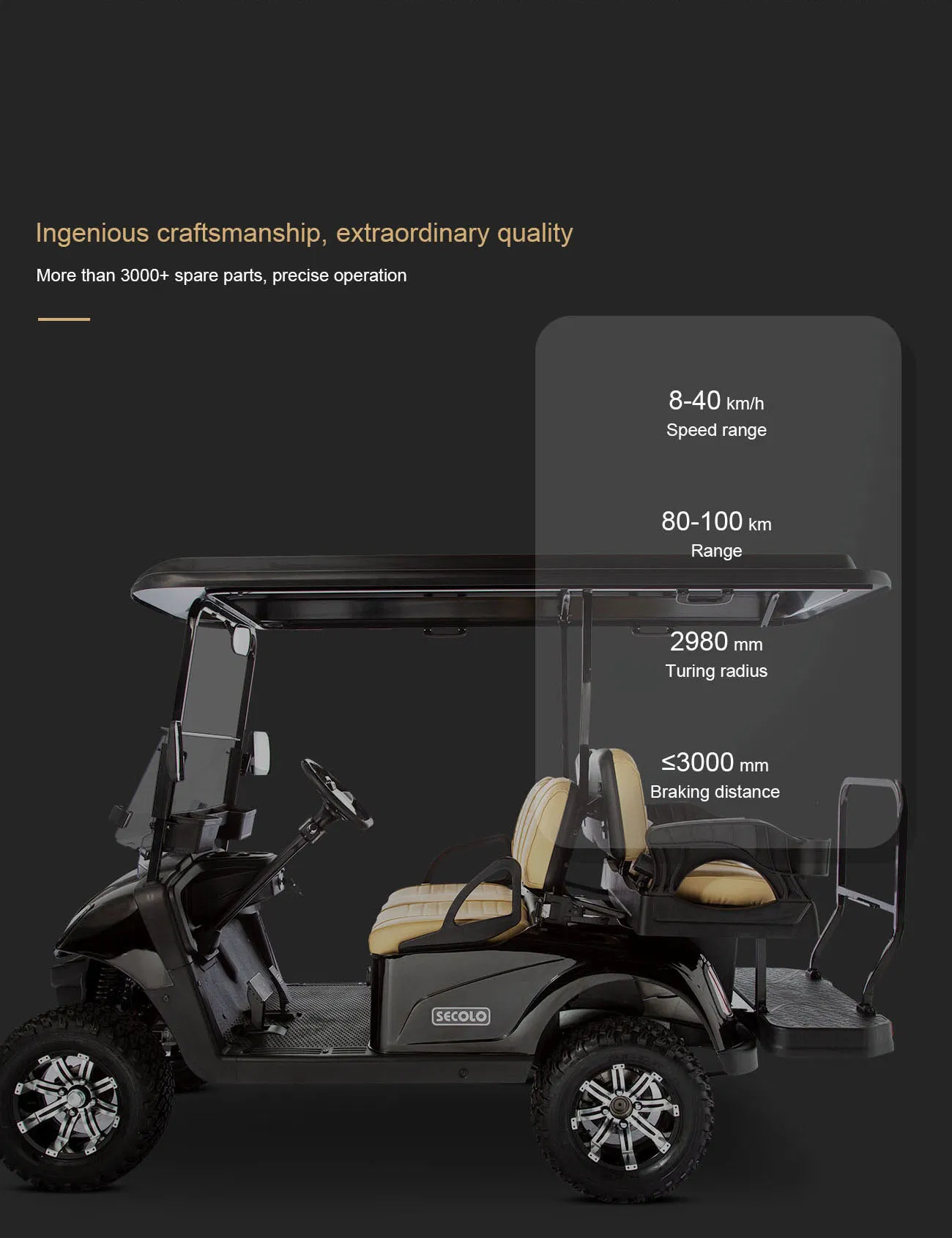 4 Seater Golf Cart Detail