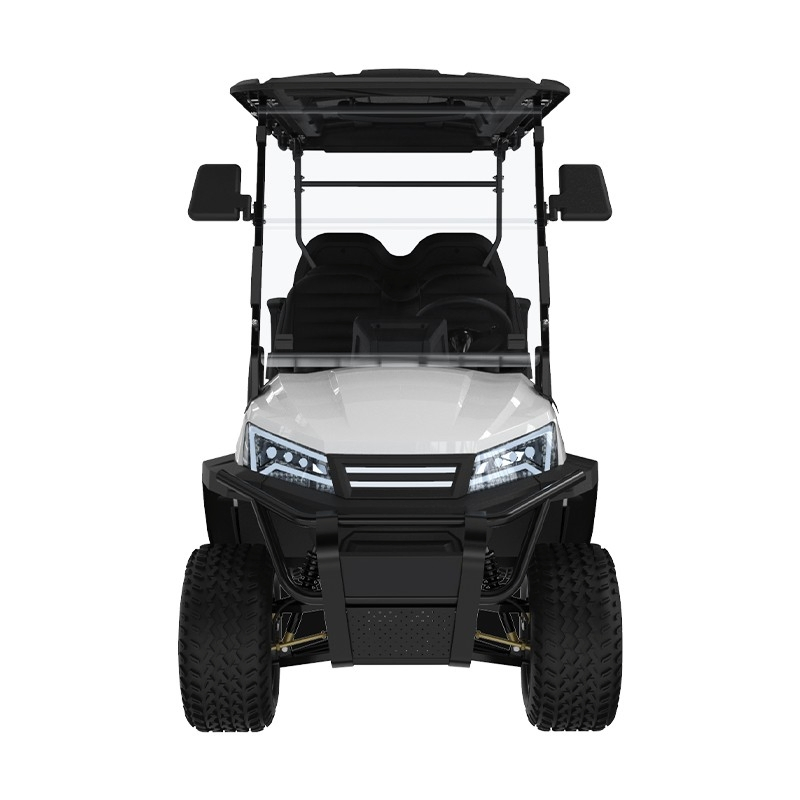 China Made White Electric Street-Legal Lsv Golf Cart