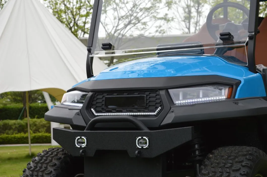 6 Seater Luxury Electric Vehicle