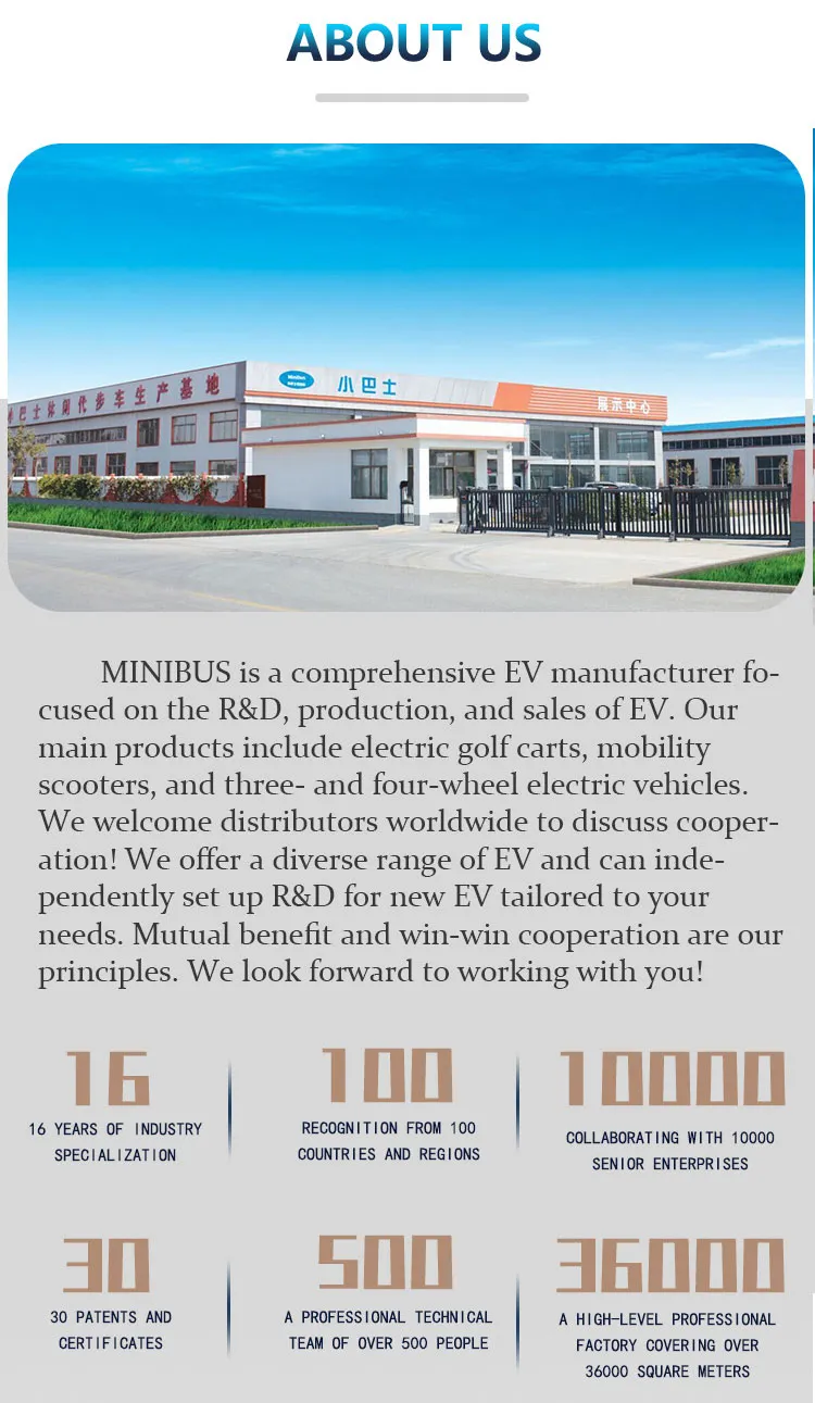 Luxury Electric Golf Cart