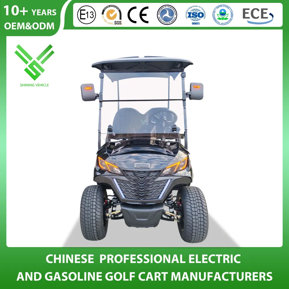 Shininglsv 2 Seat 48V Lithium Long Distance Shuttle Vehicle Golf Cart