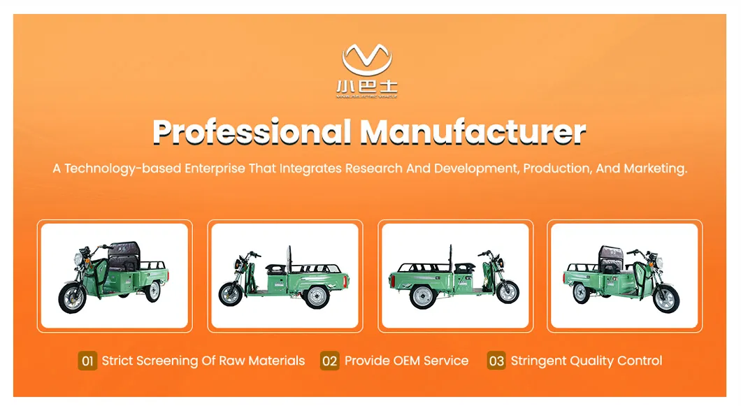 Electric Cargo Tricycle Overview