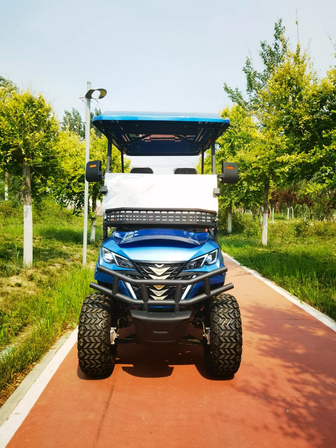 2+2 Seat Electric Golf Cart for Resort Shuttle and Utility Use