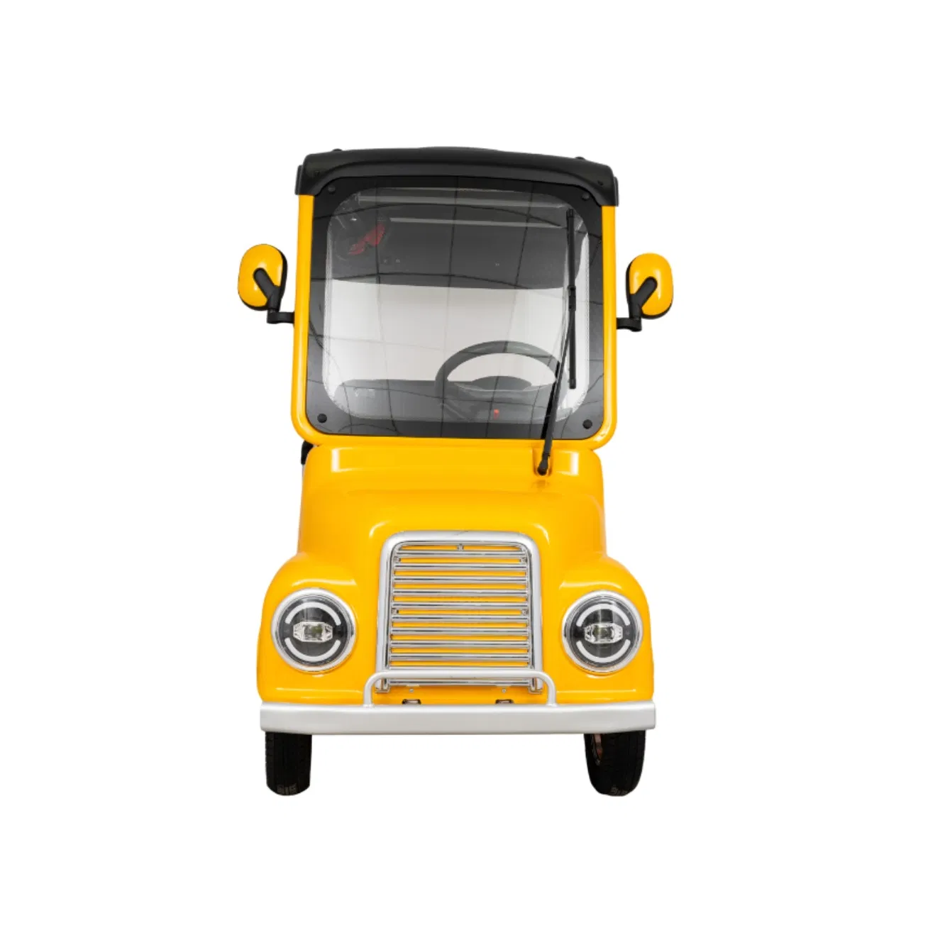 2025 Senior Electric Transport Cart