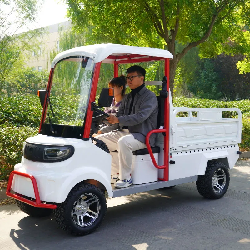 Electric Golf Cart View 2