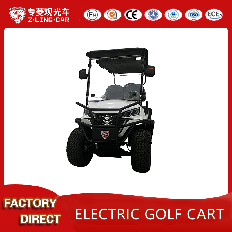 Custom Luxury Golf Cart 4-Wheel 60V Battery 4 Seater Lifted Electric Buggy Stock AC Motor 30-50km/H