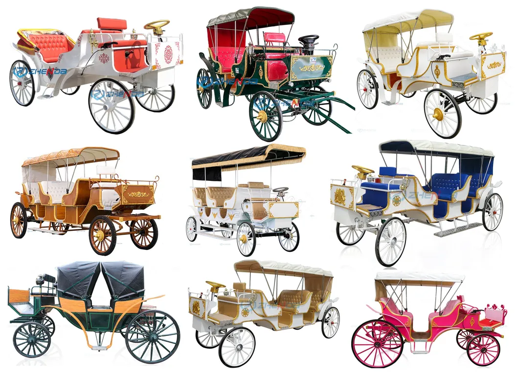 Sightseeing Carriage