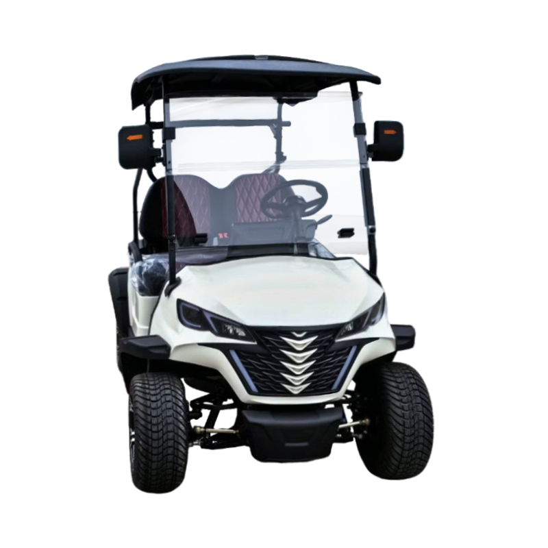 Best Street Legal Golf Carts 2025 Ex Fleet Golf Buggies for Sale
