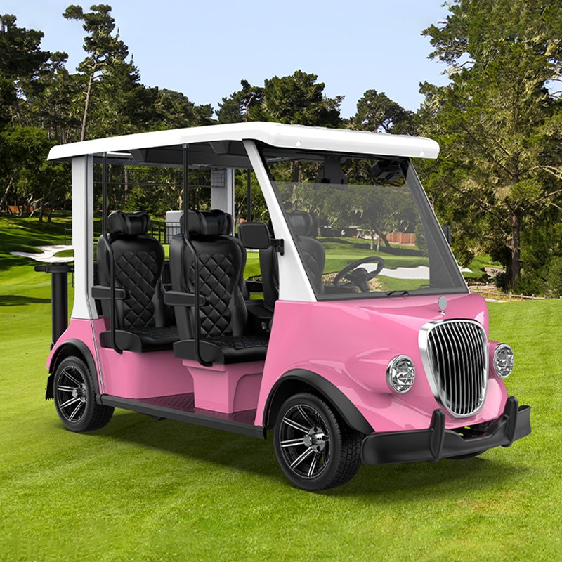 Agv Lsv Street Legal Golf Cart with DOT CT