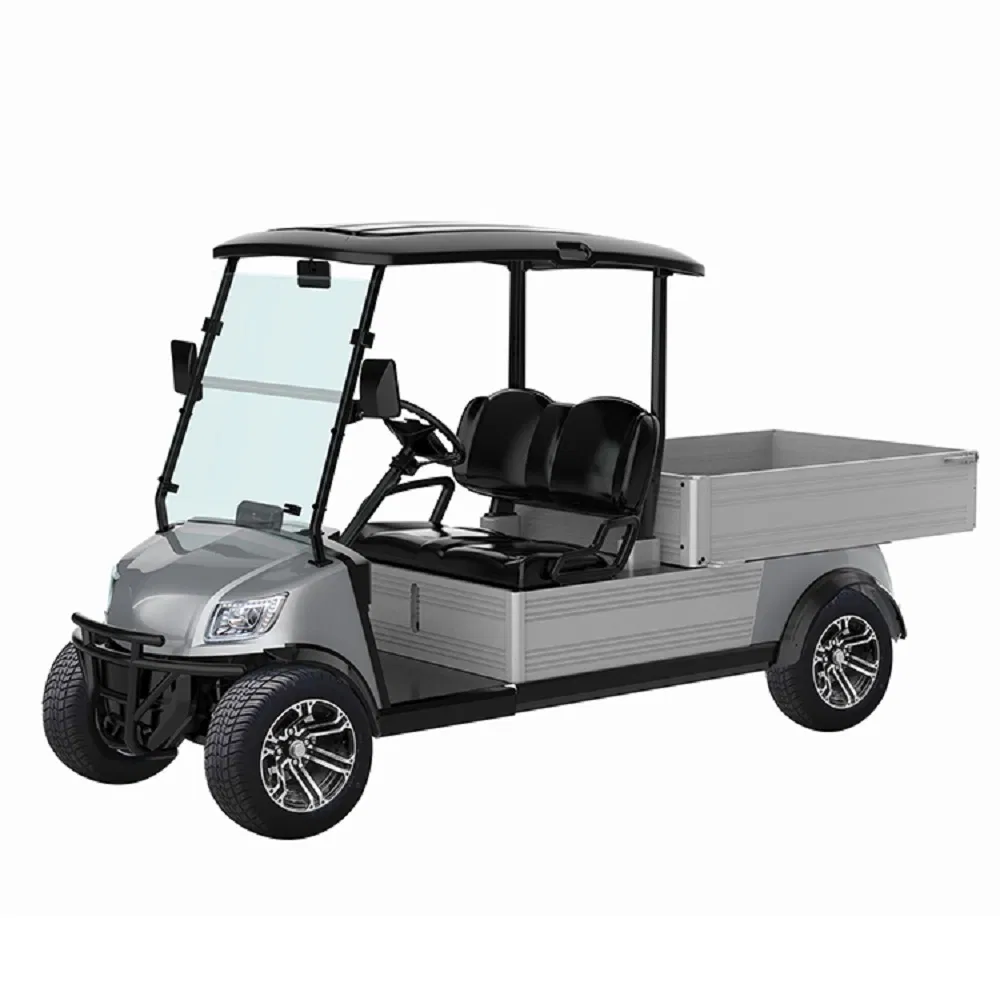 Marshell 2 Seater 48V Cheap Utility Cart Golf Cart with Cargo Box for Hunting Club Farm Village (DU-CA500)