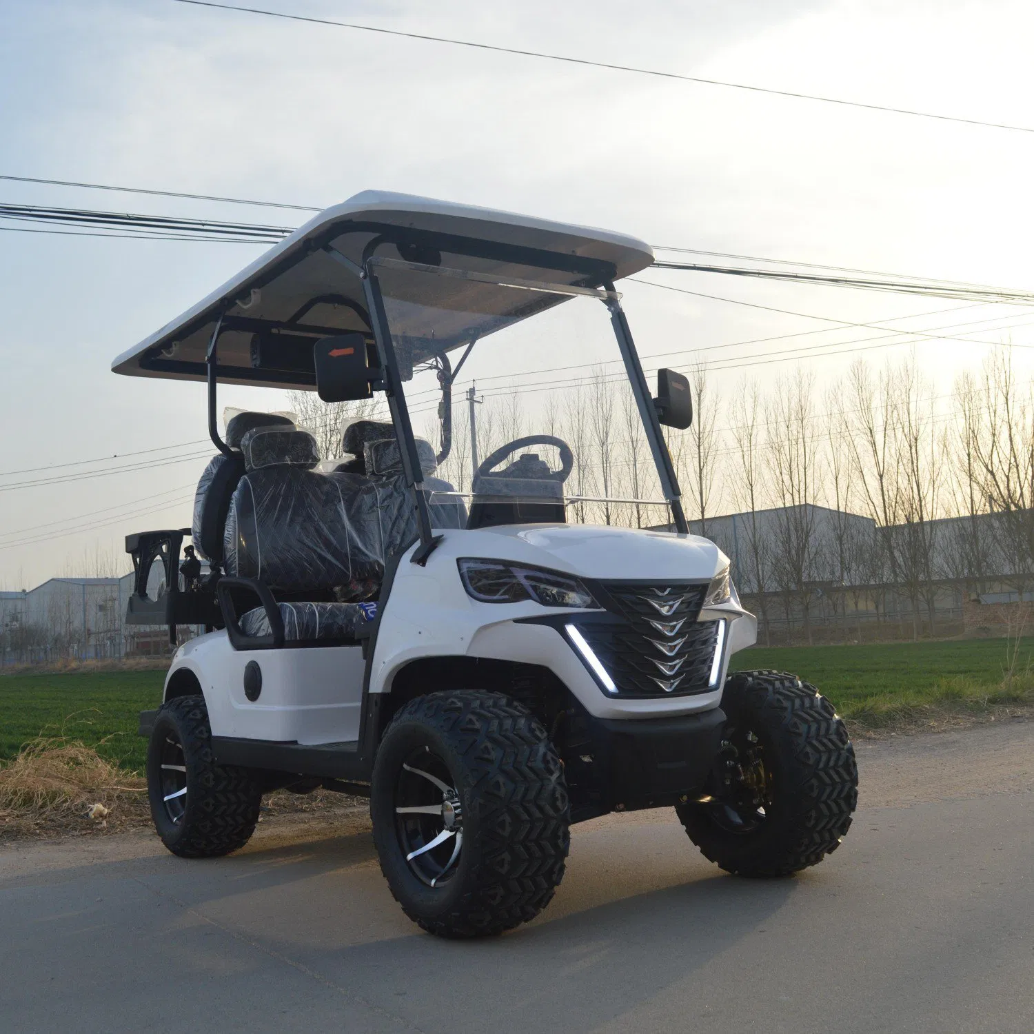 4 Passengers Electric Golf Cart Blue Color Club Car Golf Cart Airport Electric Shuttle Car