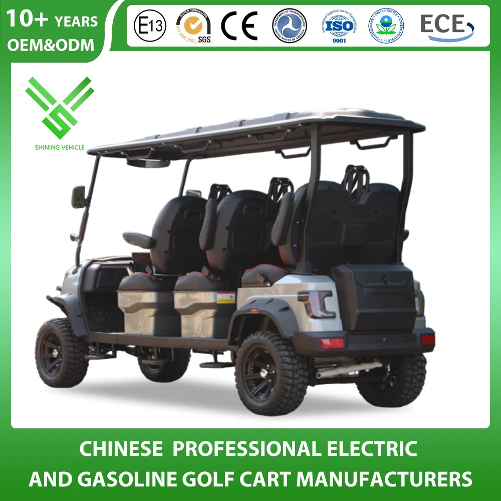 Shininglsv China Imported Advanced Luxury Custom Golf Cart