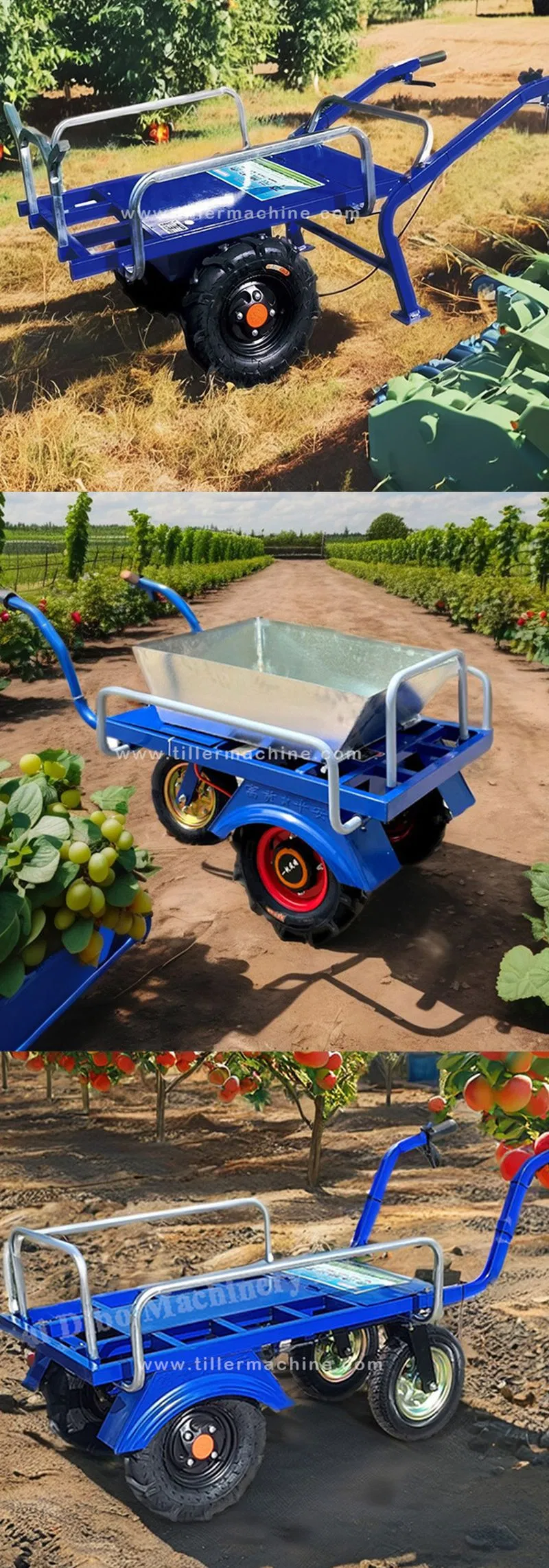 Electric Trolley Dimensions