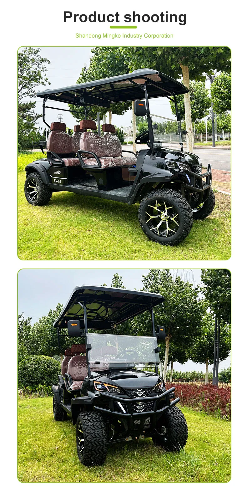 Electric Golf Cart View 7