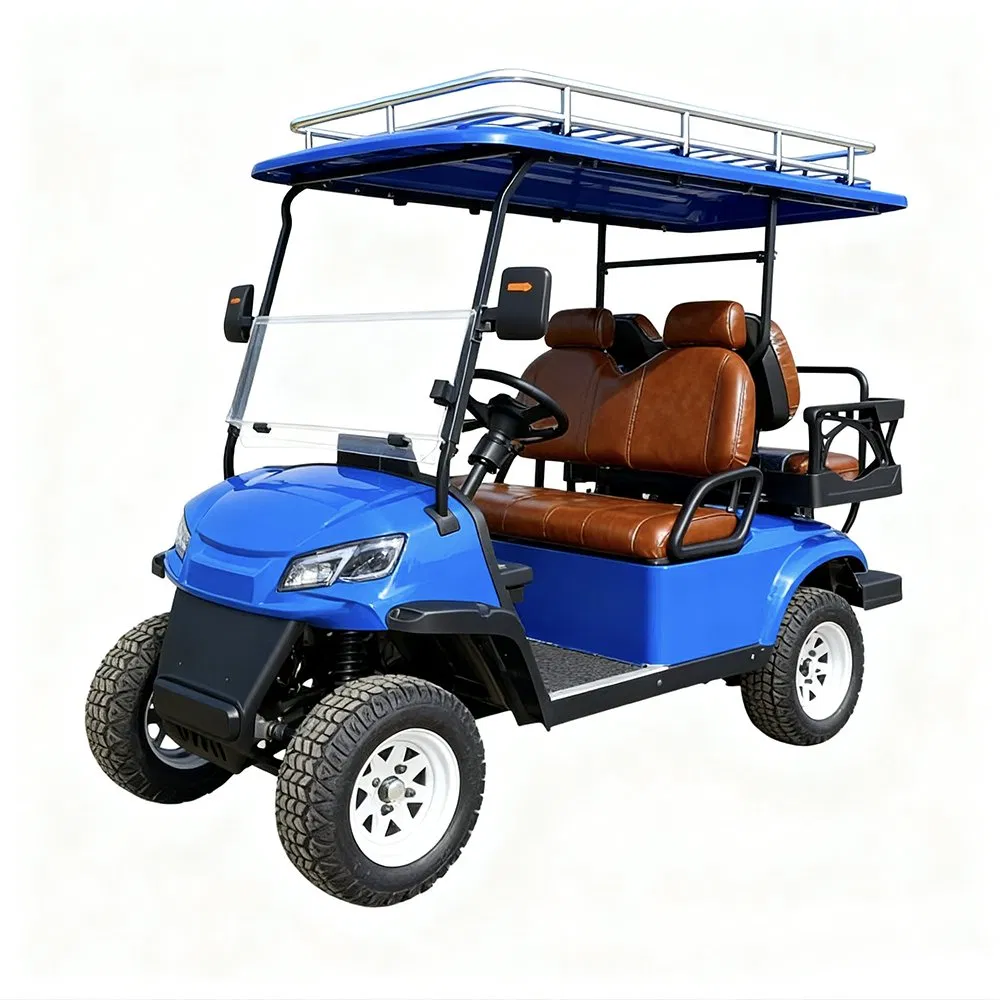 Sightseeing Golf Cart Wholesale 6 Seater Golf Cart with Folded Seat