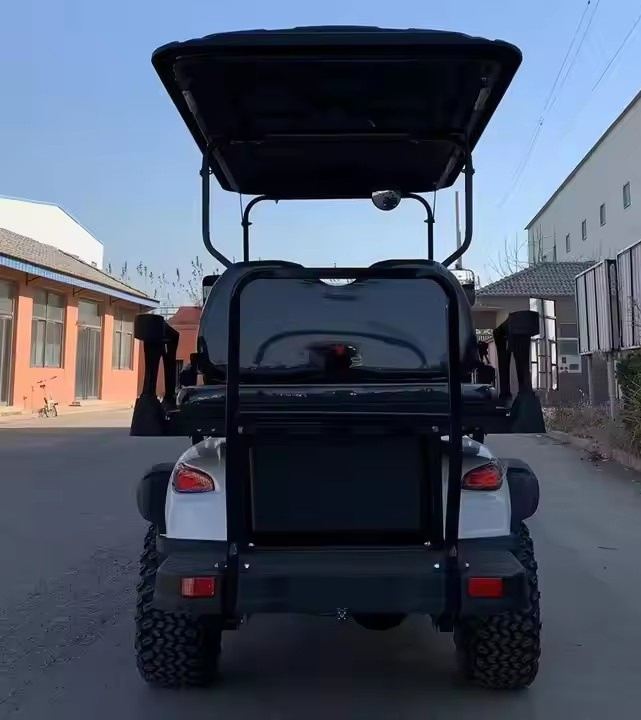 New Model 8 Person Golf Cart with Folded Back Seat China Made