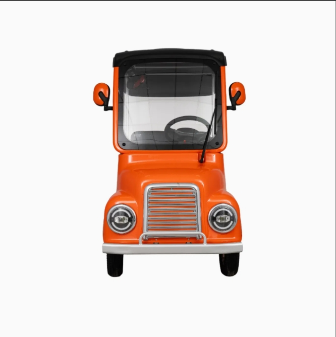 2025 Senior Electric Transport Cart