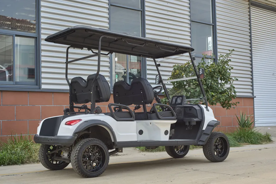 Electric Golf Cart Rear View