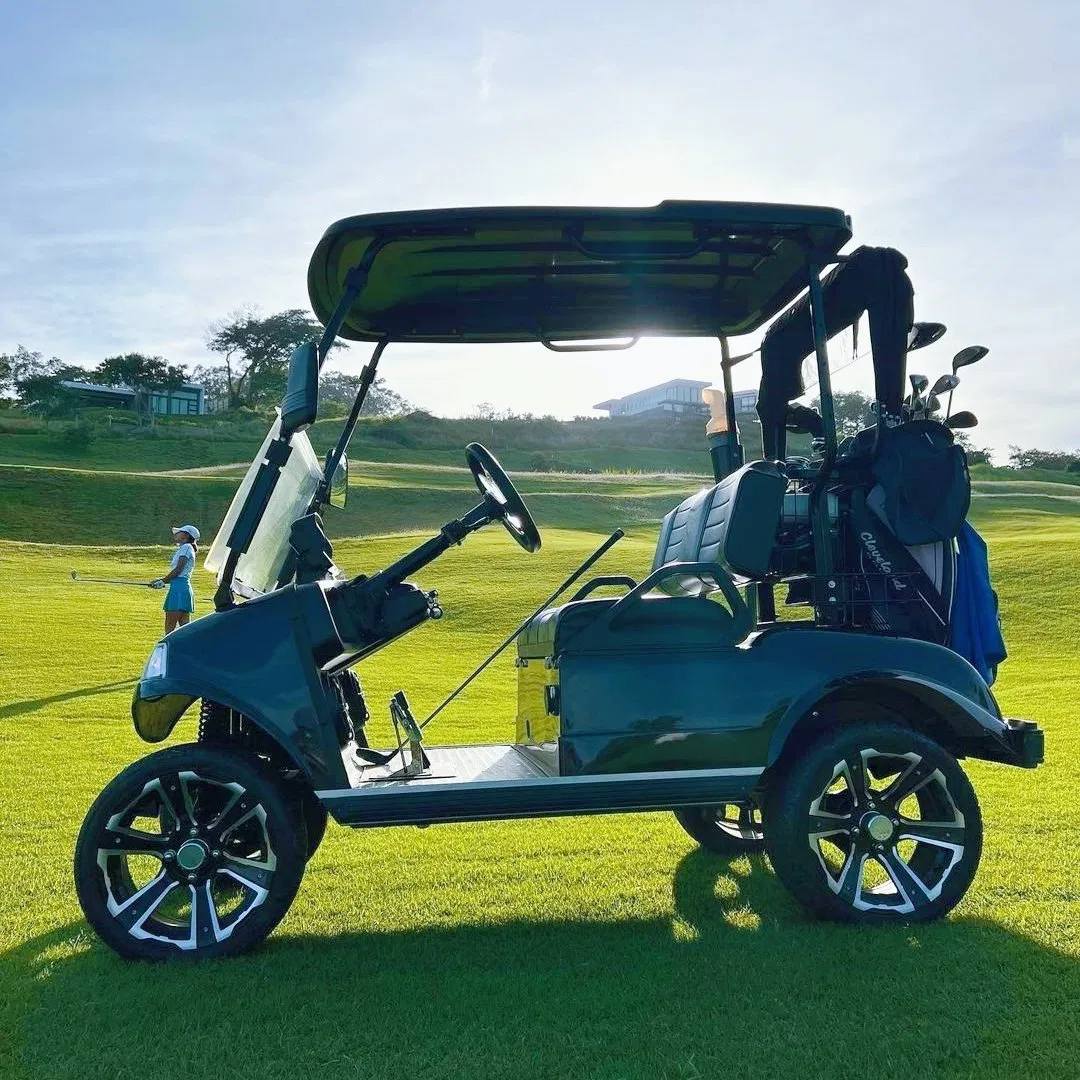 Hdk Buggy Fleet 2 Seater Luxury Mini Vehicle 4 Wheel Golf Cart