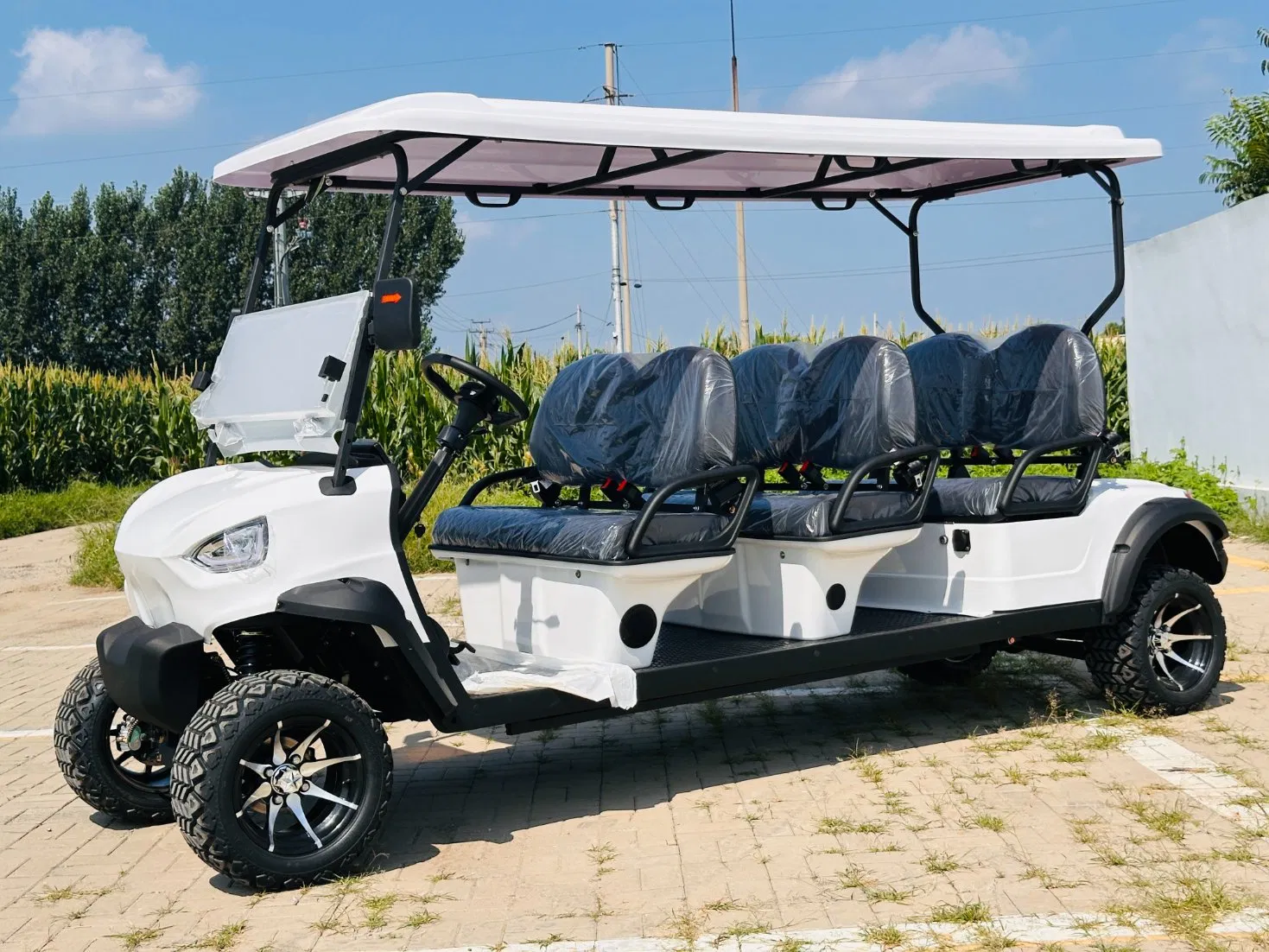 6-Seater Electric Golf Cart for Resort &amp; Community Shuttle