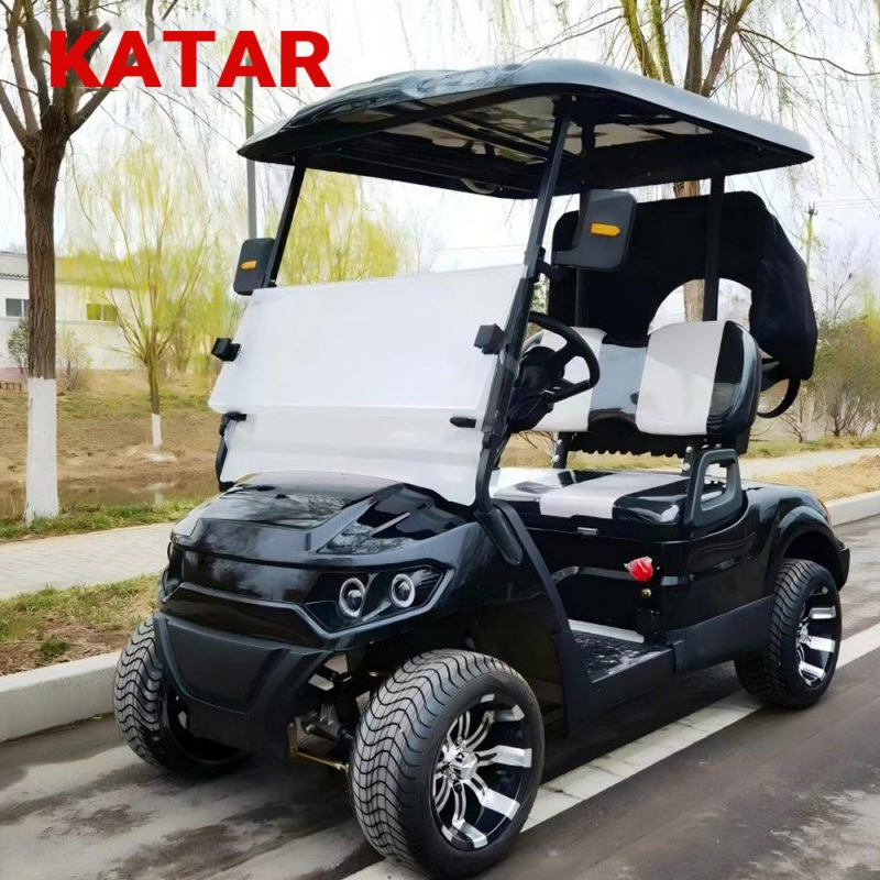 Custom 4 6 8 10 Seater Solar Power Lithium Batteries Folding Golf Carts Electric Golf Cart