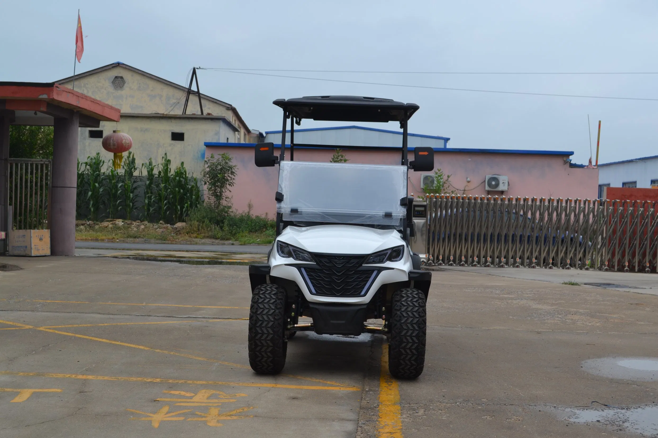 Winner Golf Cart Manfuacturer Lithium 48/72V Utility Mini 2/4/6/8 Seater/Passenger Street Legal Solar Electric/Gasoline Cart