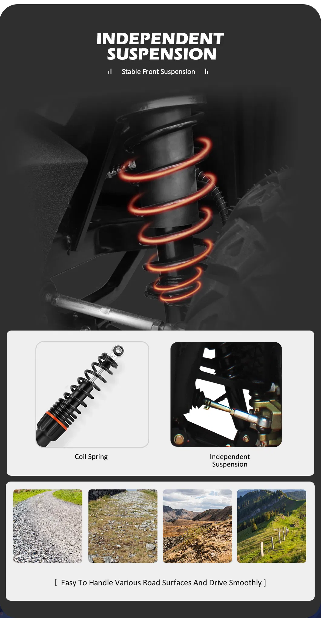 Electric Golf Buggy 5