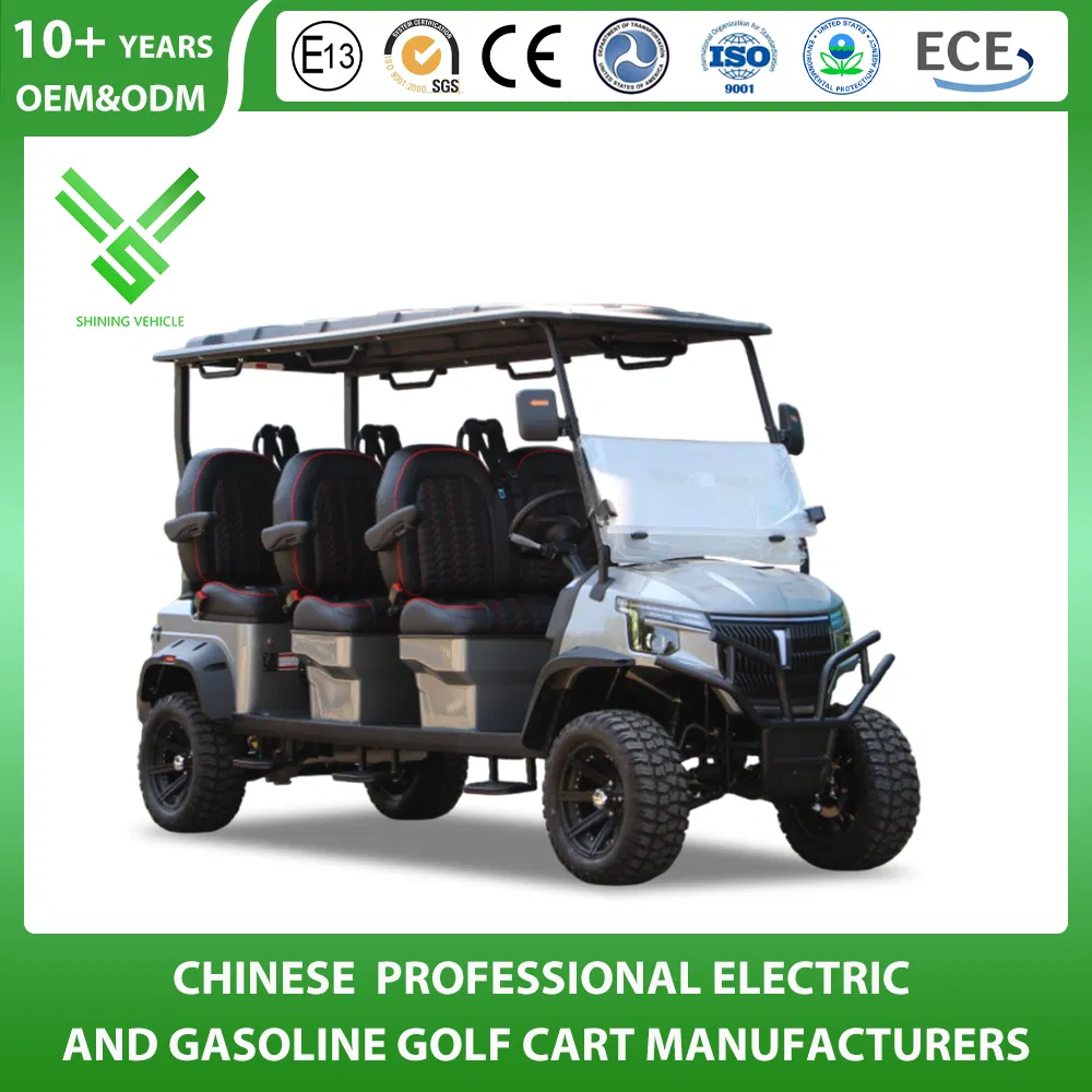 Shininglsv China Imported Advanced Luxury Custom Golf Cart